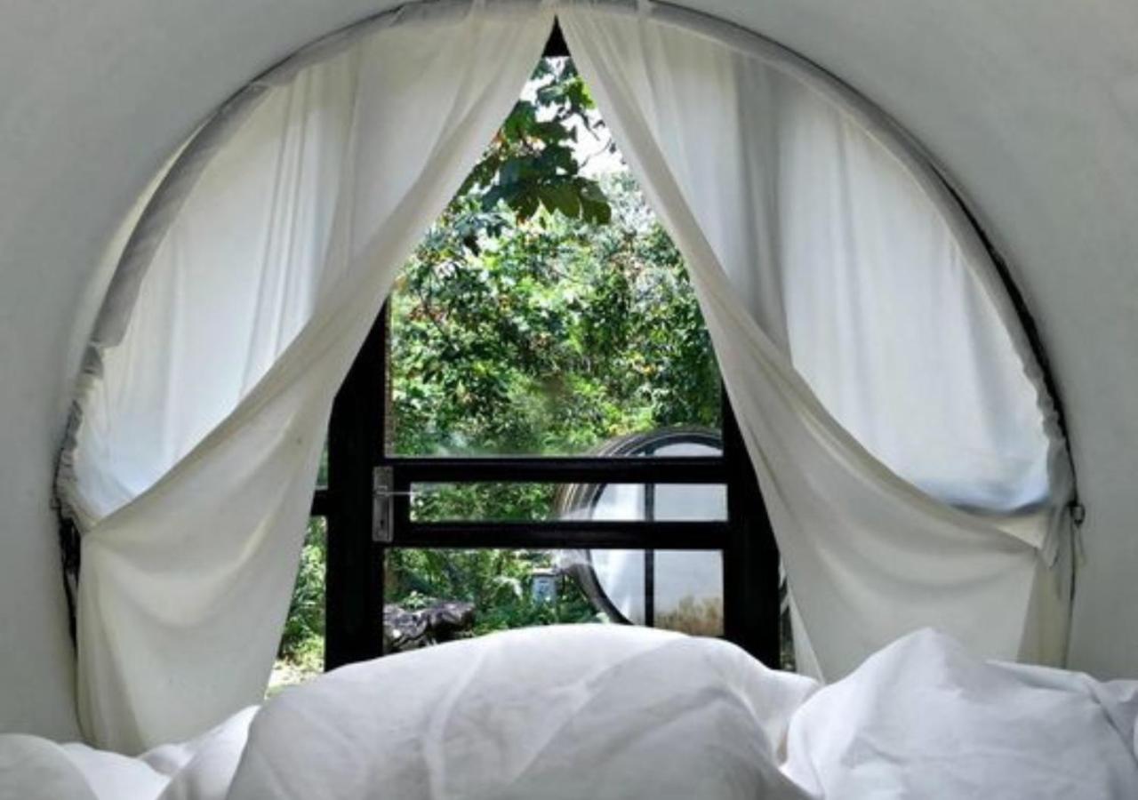 Time Capsule Retreat, Sungai Lembing