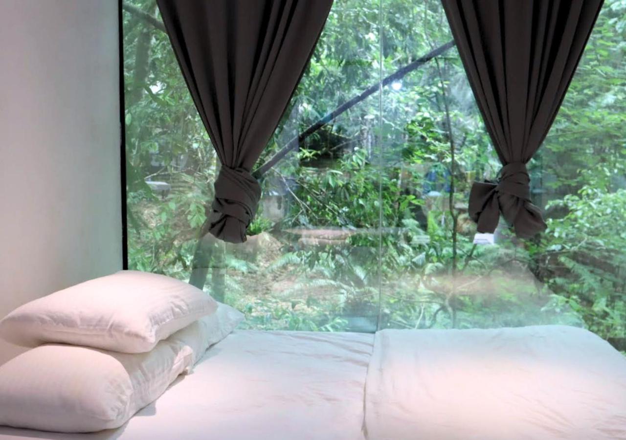 Time Capsule Retreat, Lodge *