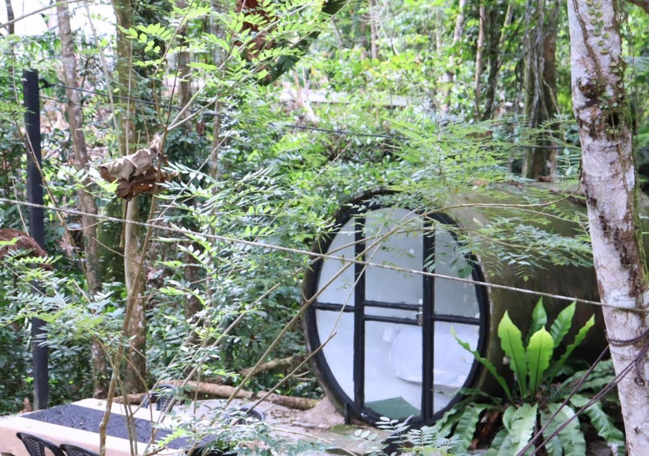 Time Capsule Retreat, Lodge Sungai Lembing