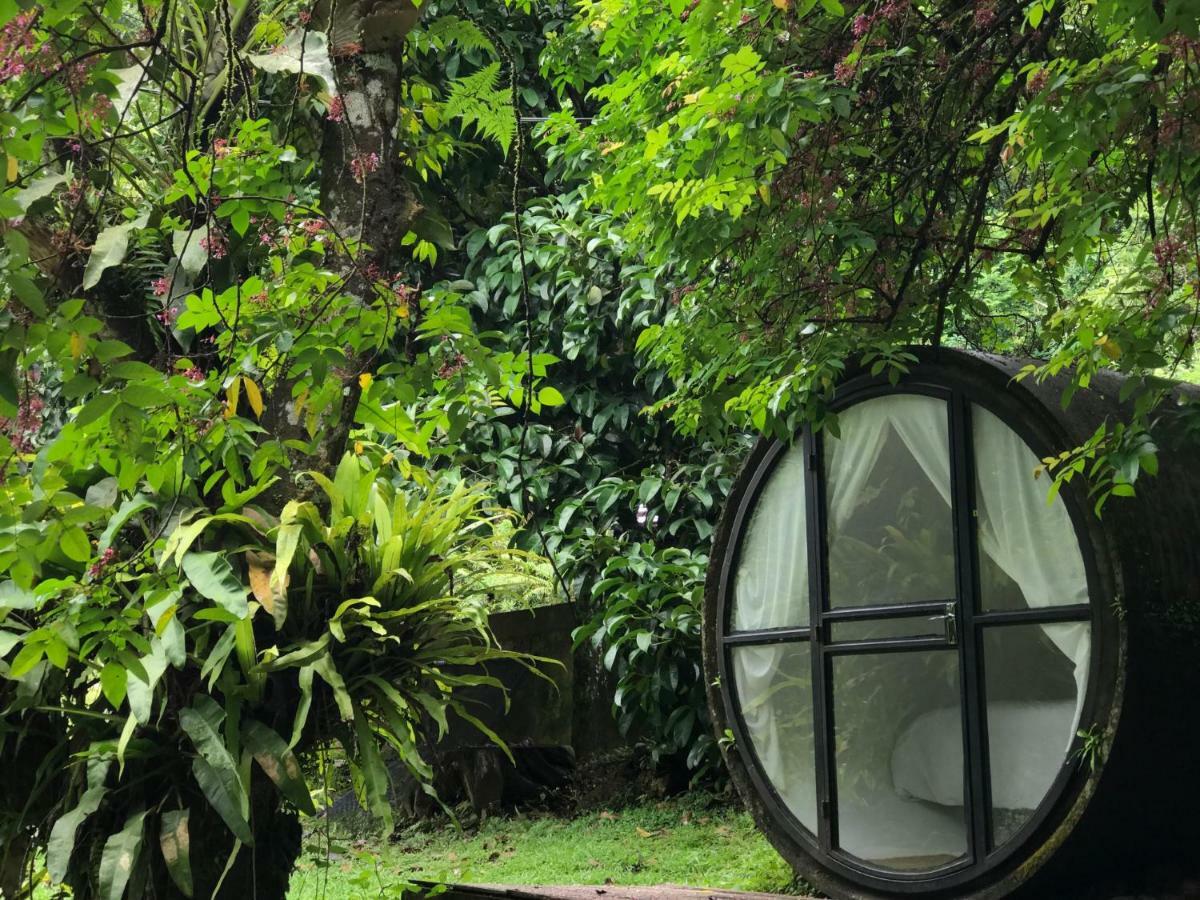 Time Capsule Retreat, *